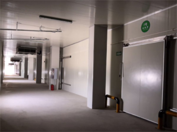 食品公司內建造一個1000平包子、水餃速凍冷庫費用是多少？