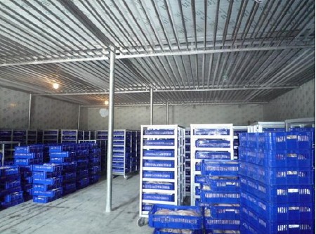 -18~-23℃冷凍庫哪種制冷方式好?(冷風(fēng)機,鋁排)