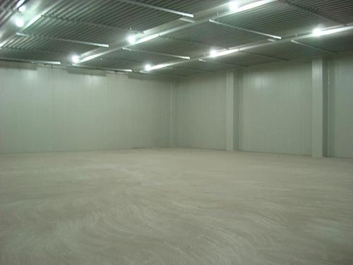 西蘭花冷庫存儲多久，100噸西蘭花冷庫建造多少錢